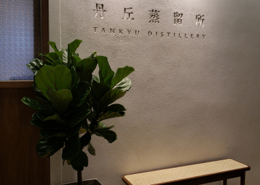 白蘭樹下 01