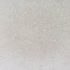 110910A1